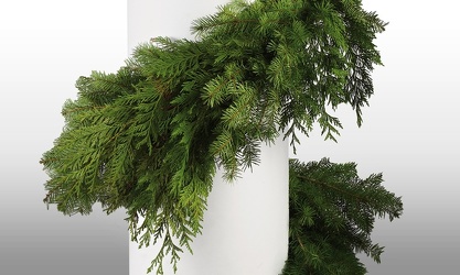 Garland - Cedar & Douglas Mix - 75' Coil from Boulevard Florist Wholesale Market