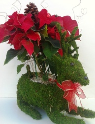 Live Poinsettia in Moss Reindeer Planter from Boulevard Florist Wholesale Market